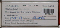 Image Associated With the Occurence